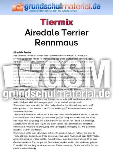 Airedale Terrier - Rennmaus.pdf